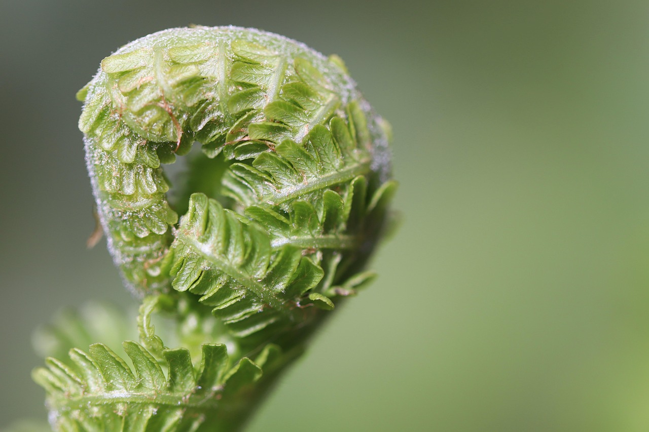 Best in 2027 What is Diamondexch Betting Tips: Pro Tips to Win in India (2026)